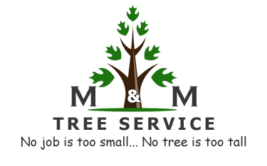 M & M Tree