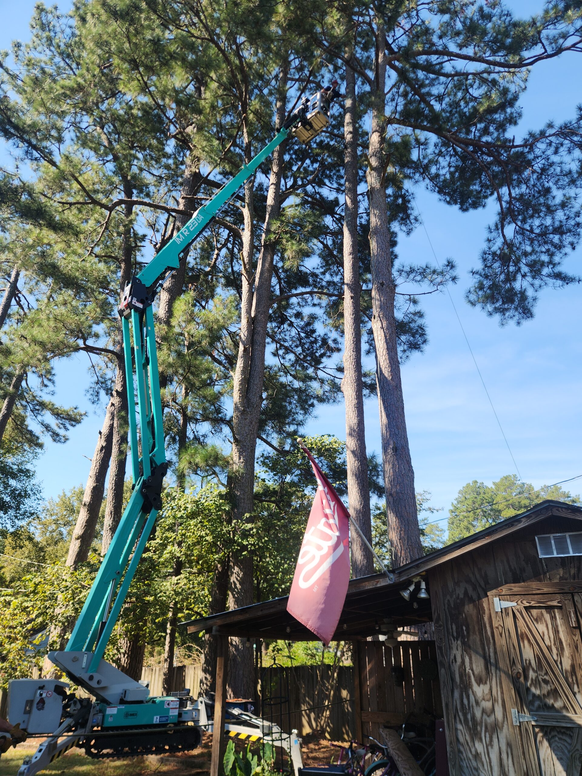 A teal hydraulic lift arm extended into tall pine trees with a person in the bucket, near a small wooden shed with a red flag.