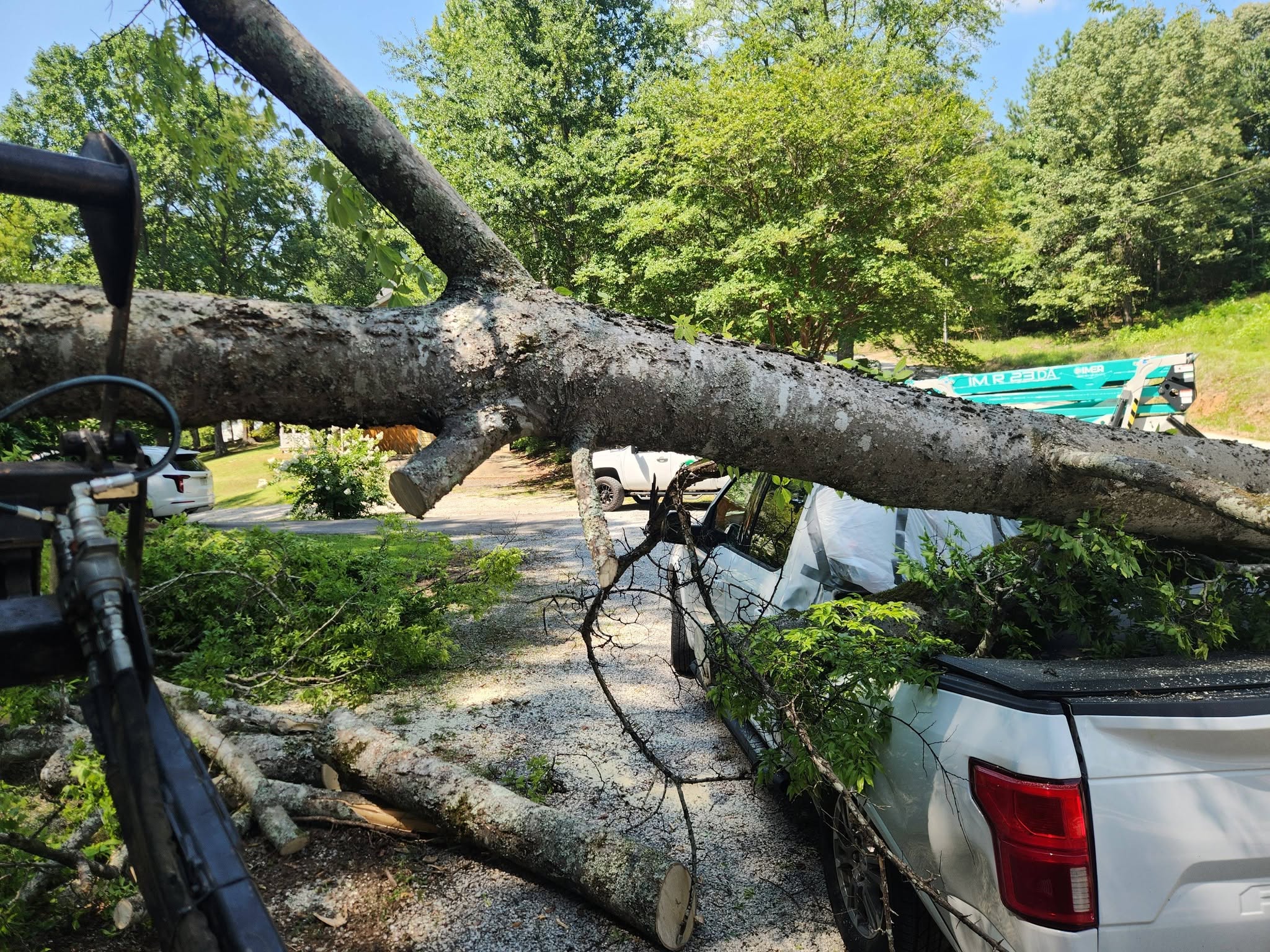 A large fallen tree branch resting on the bed of a white pickup truck.