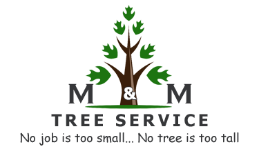 M&M Tree Service Logo