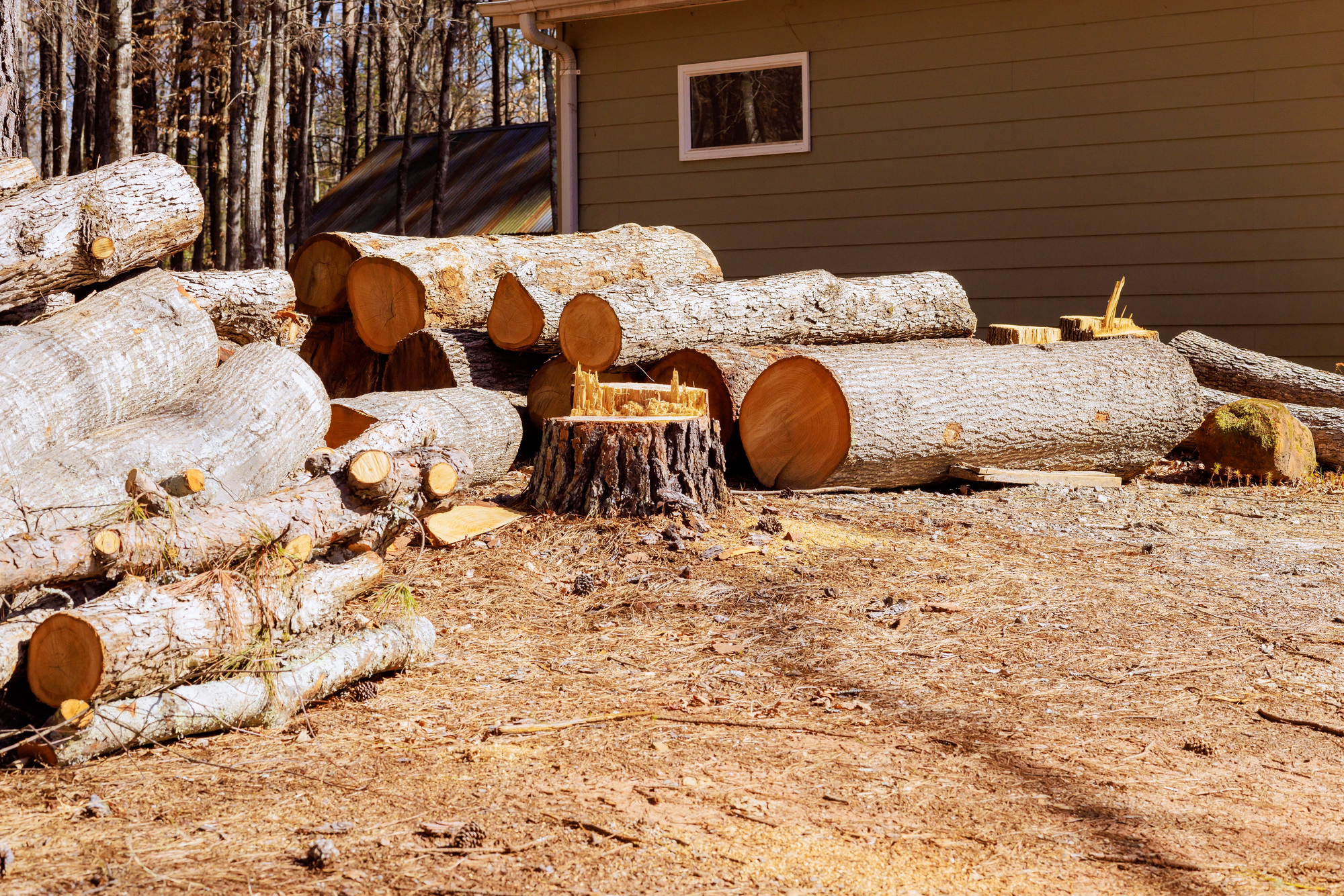 Stacked logs and a tree stump in front of a house.