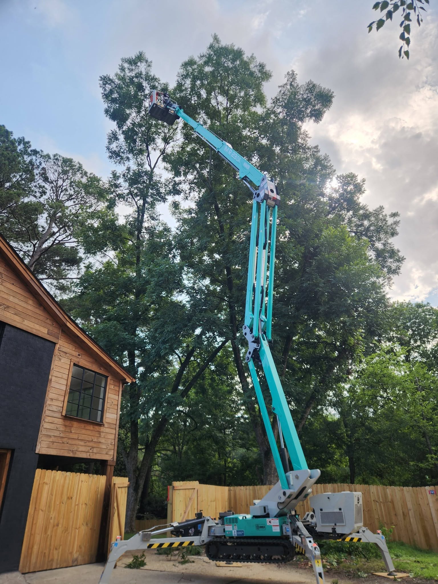 A worker in a bucket lift reaching high into a tall tree next to a house.