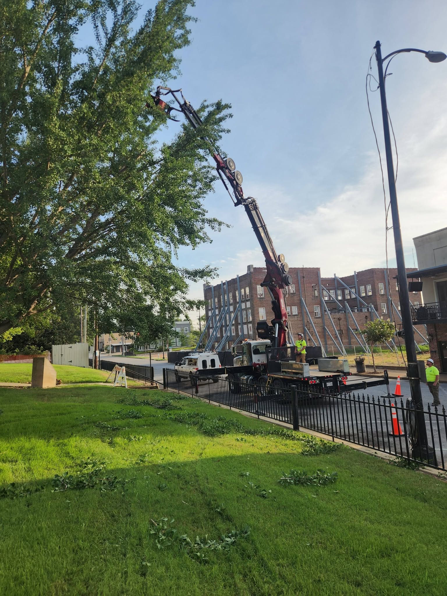 A crane truck with an extended boom arm trimming a large tree along a street.